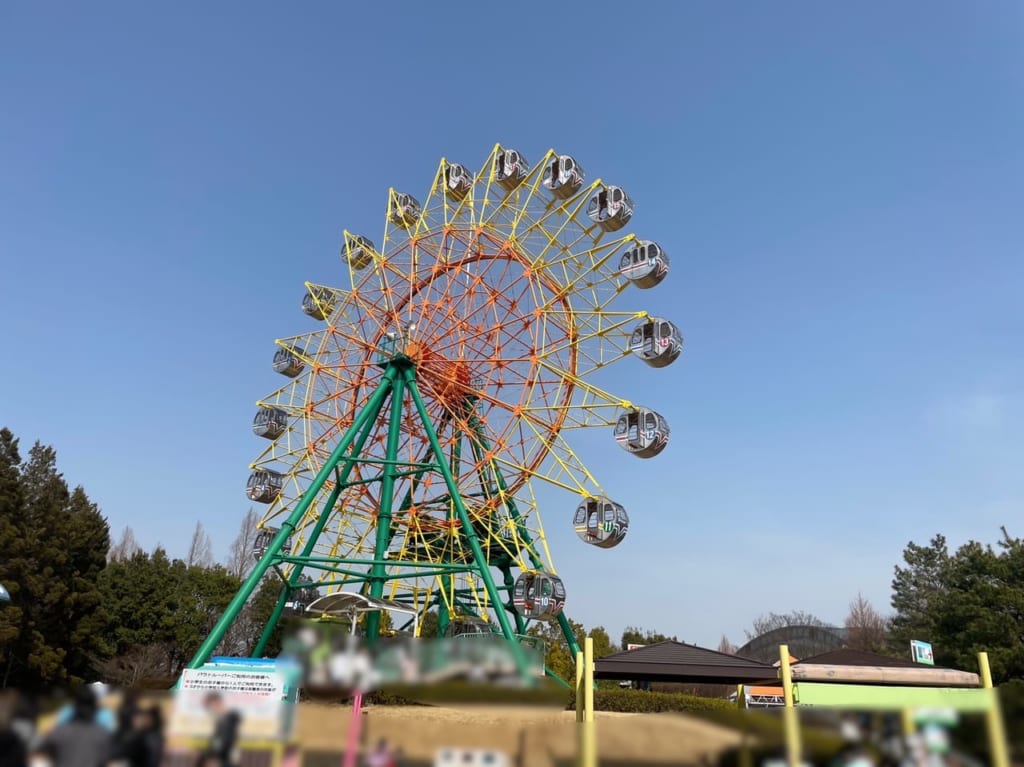 カルチャーパーク　ドリームランド