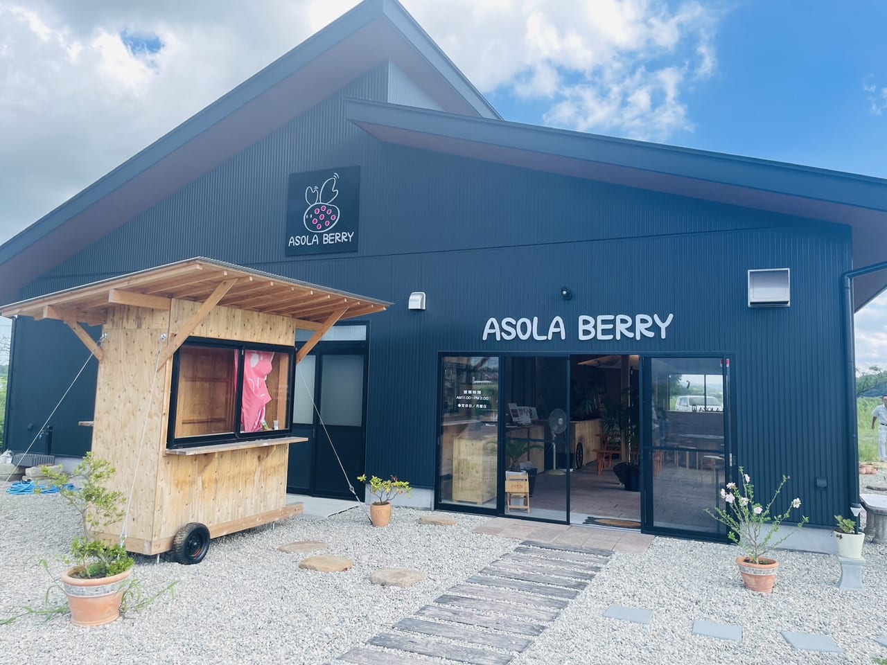 ASOLA　BERRY